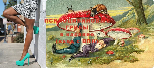 не бодяженный Аркадак