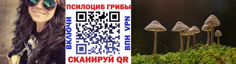 Галлюциногенные грибы GOLDEN TEACHER  Каменногорск 